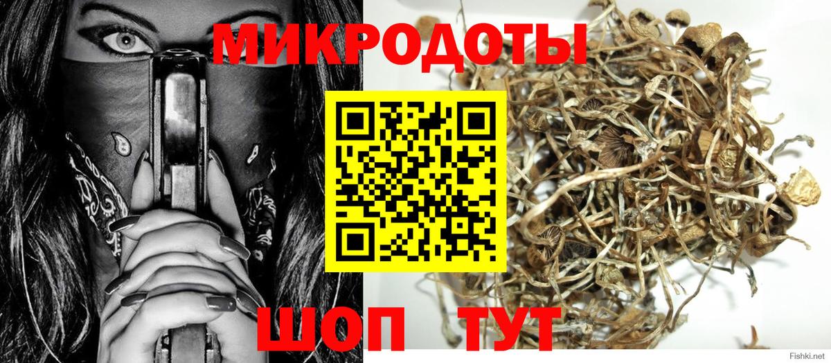 Псилоцибиновые грибы прущие грибы Дербент