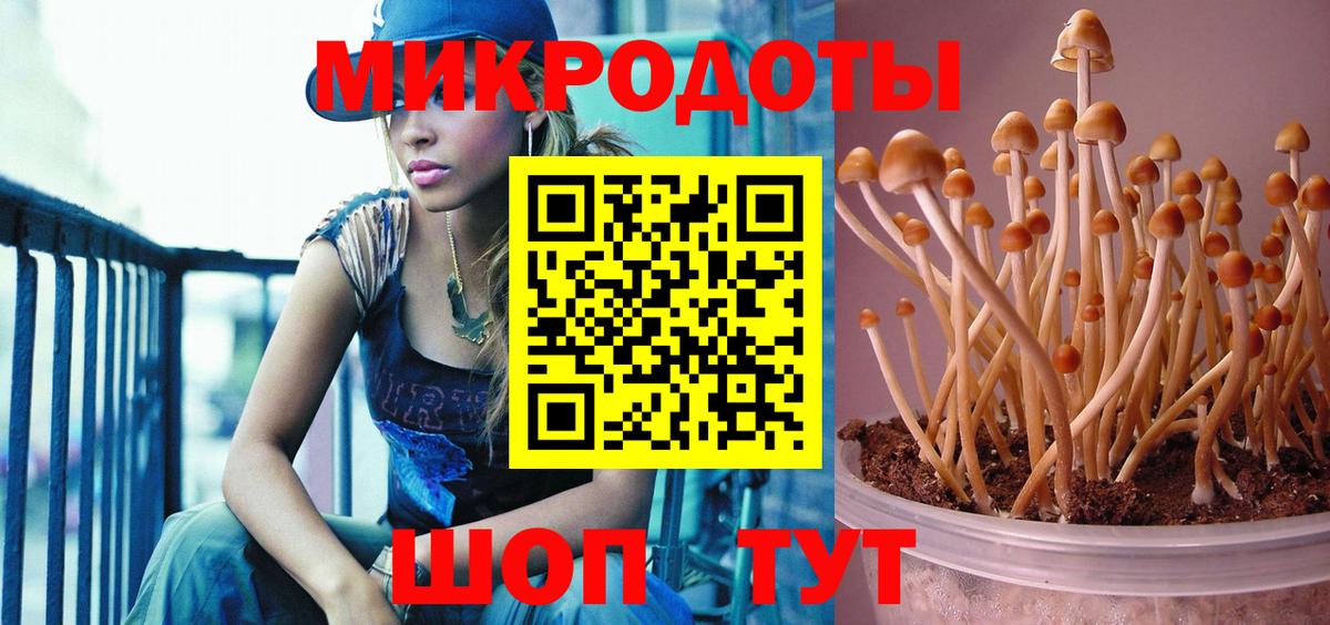 Дербент  Псилоцибиновые грибы Magic Shrooms  Вход с VPN 